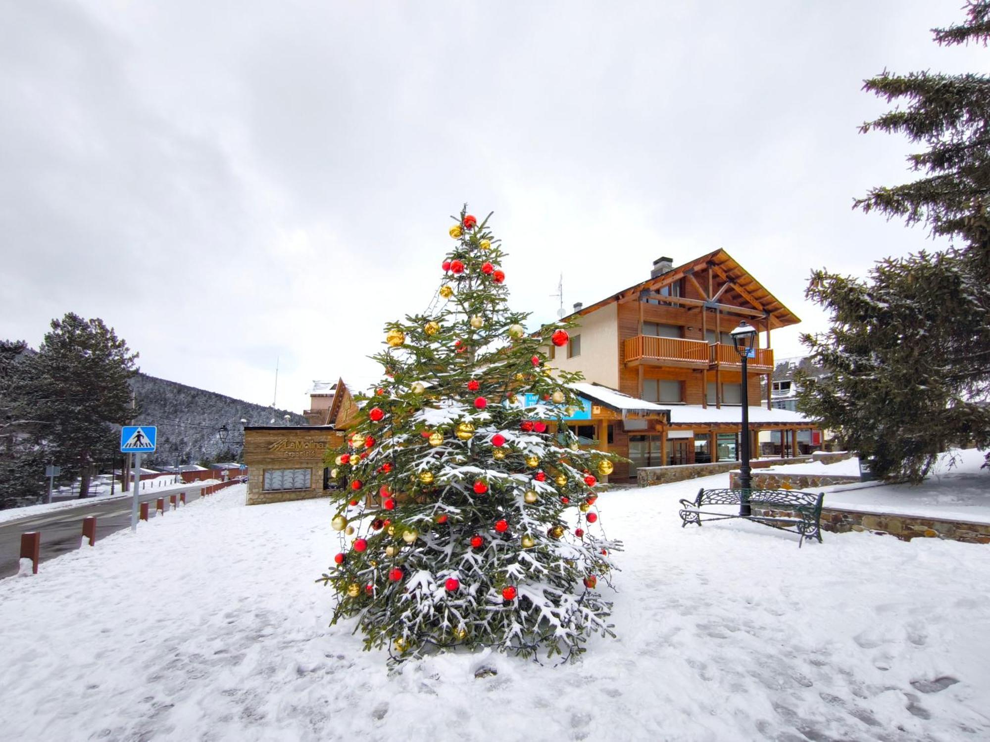 Apartamento A Pie De Pistas La Molina Con Vistas La Molina Alp